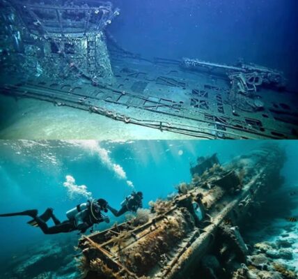 Was geschah mit dem verlorenen deutschen U-Boot aus dem Zweiten Weltkrieg? Eine eindringliche Entdeckung seiner letzten Ruhestätte!