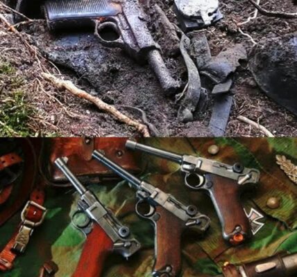 Seltenes Arsenal aus dem Zweiten Weltkrieg gefunden! 💣 Deutsche Walther P38, Parabellum P08 und Gewehr 43 geborgen – eine eindringliche Reise in die Vergangenheit