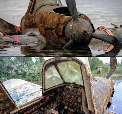 Geheimnis des Zweiten Weltkriegs gelüftet!Sowjetisches Flugzeug IL-2 steigt aus den Tiefen des Flusses auf – Eine vergessene Legende kehrt zurück!