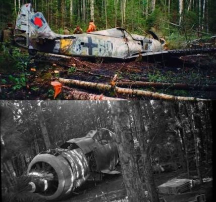 Die Geheimnisse des Waldes enthüllt: Das deutsche Flugzeug Focke-Wulf Fw 190 aus dem Zweiten Weltkrieg und seine mysteriöse Vergangenheit