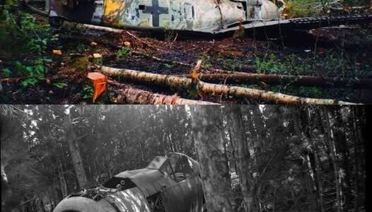 Die Geheimnisse des Waldes enthüllt: Das deutsche Flugzeug Focke-Wulf Fw 190 aus dem Zweiten Weltkrieg und seine mysteriöse Vergangenheit