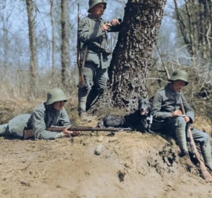 Atemberaubende und seltene Farbfotos aus dem Ersten Weltkrieg, 1914-1918