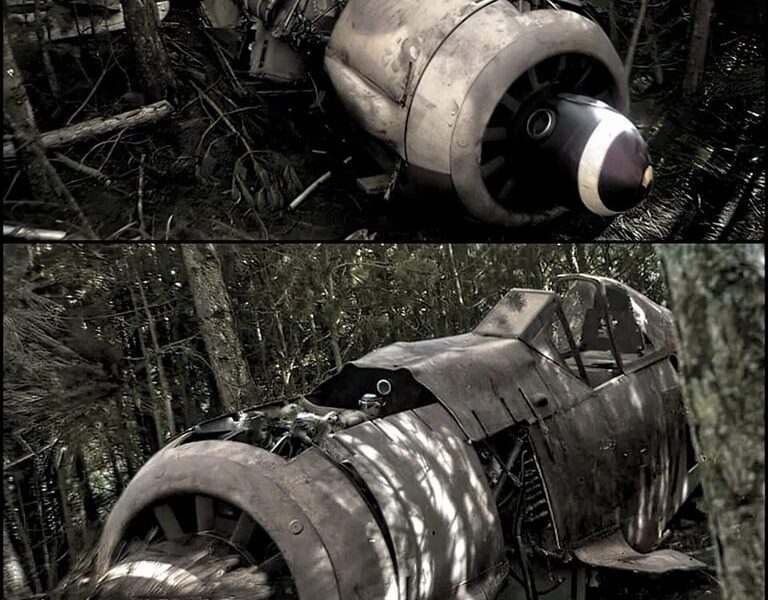 Fw 190 Found in Woods: Uncovering the Greatest WW2 Relic