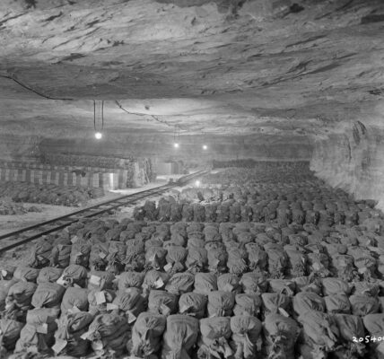 Deutschlands verlassene „Autobahn“ für gestohlenes Gold aus dem Zweiten Weltkrieg.