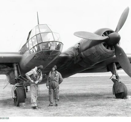 Das asymmetrische deutsche Flugzeug, das eigentlich nicht hätte fliegen dürfen.