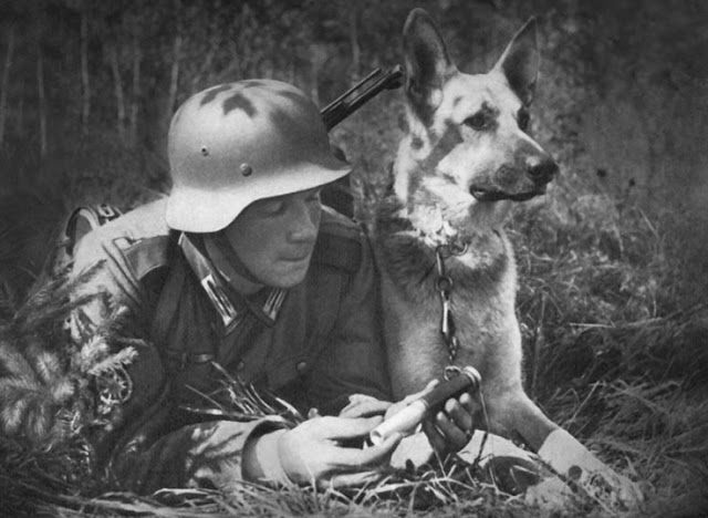 20 emotionale Vintage-Fotos fangen die Momente von Soldaten und ihren liebenswerten Haustieren im Krieg ein