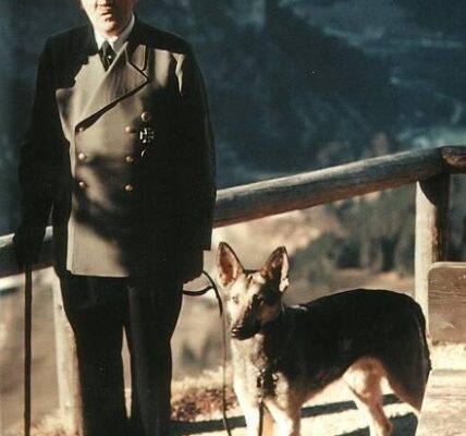 20 Vintage-Fotografien von Adolf Hitler und seinem geliebten Hund Blondi