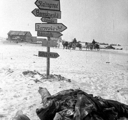 Deutsche vor den Toren Stalingrads (seltene Fotos), 1942–1943