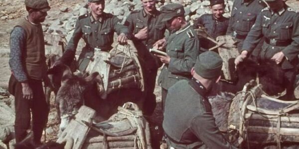Deutsche Truppen im Zweiten Weltkrieg