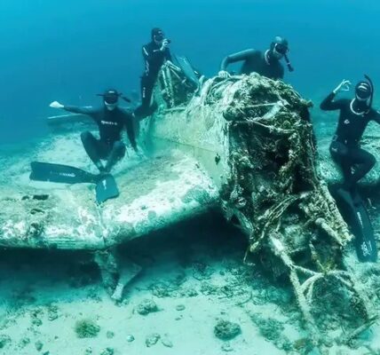 Stuka 70 Jahre nach ihrem letzten Tauchgang gefunden: Seltener deutscher Bomber aus dem Zweiten Weltkrieg vor der Kuste Kroatiens entdeckt