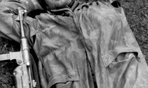 Einsatz der deutschen Fallschirmjäger in Italien und Frankreich 1943–1944: Monte Cassino, Normandie und urbaner Kampf
