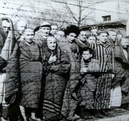 Bergen-Belsen 1945 – Die Gesichter der Befreiung: Ein Moment, der fur immer bleibt.