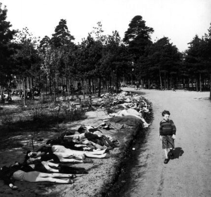 Erstaunliche historische Fotos des Großen Vaterländischen Krieges.