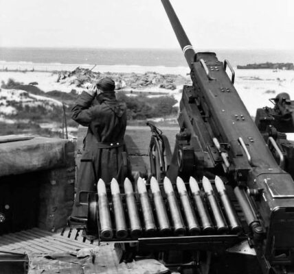Geheimnisse an der Kuste: Deutscher Soldat und eine ungewöhnliche FlaK 41 – Normandie 1943.