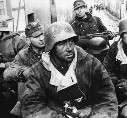 Militärgeschichte Deutsche Halbkettenfahrzeuge im Krieg 1941
