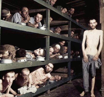 25 unglaubliche kolorierte Fotos aus der Geschichte
