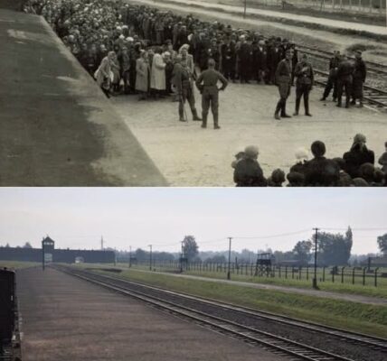Deportationen ungarischer Juden nach Auschwitz
