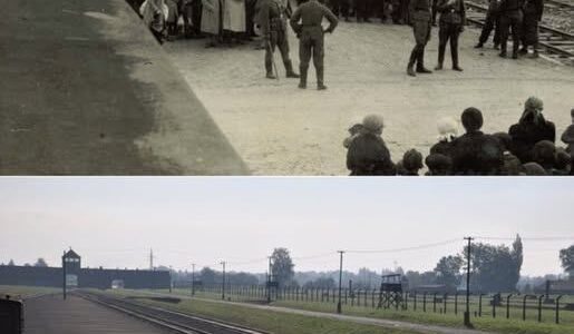 Deportationen ungarischer Juden nach Auschwitz