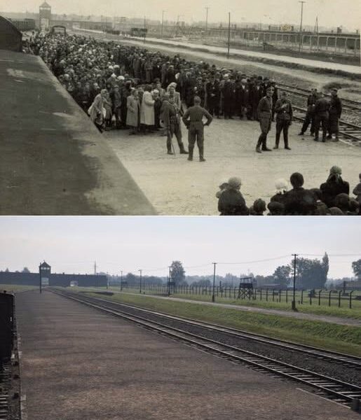 Deportationen ungarischer Juden nach Auschwitz