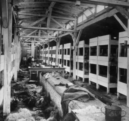 Fotos von der Befreiung des nationalsozialistischen Konzentrationslagers Auschwitz, in dem mehr als eine Million Menschen getötet wurden