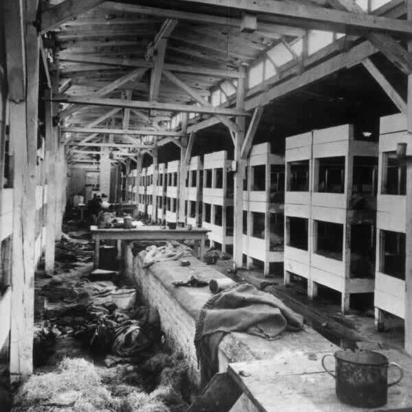 Fotos von der Befreiung des nationalsozialistischen Konzentrationslagers Auschwitz, in dem mehr als eine Million Menschen getötet wurden