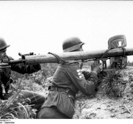 Sommer 1944: Die Wehrmacht zwischen Ruckzug und Verzweiflung.
