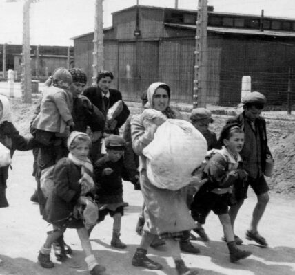 Auschwitz, Mai 1944: Frauen und Kinder auf dem Weg zur Selektion.