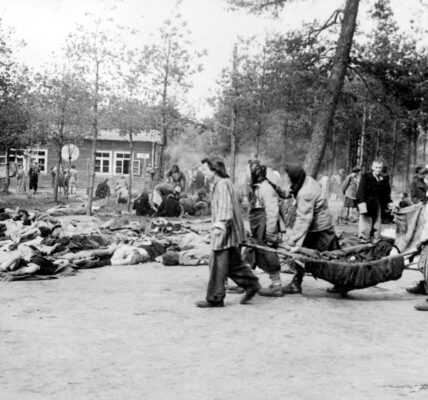 Die stillen Zeugen von Bergen-Belsen – Tausende Schuhe, unzählige Schicksale