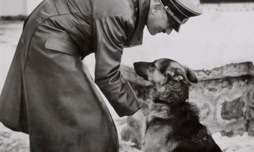 20 Vintage-Fotografien von Adolf Hitler und seinem geliebten Hund Blondi