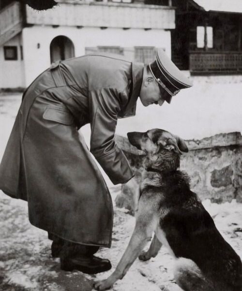 20 Vintage-Fotografien von Adolf Hitler und seinem geliebten Hund Blondi