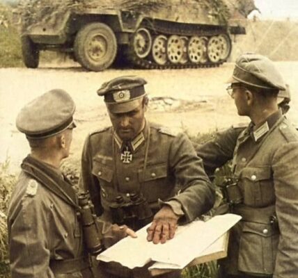 HALB LKW, HALB PANZER, DAS DEUTSCHE SD.KFZ 251 WAR VOLLKOMMEN ERFOLGREICH