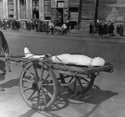 Die Belagerung Leningrads anhand seltener historischer Fotos, 1941–1944