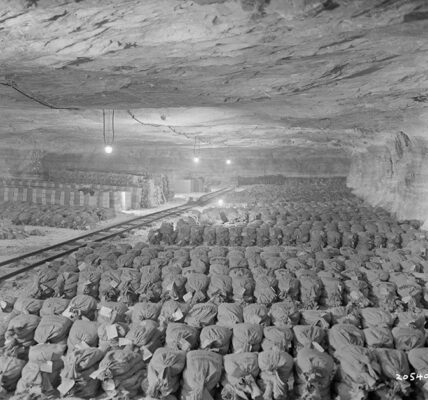 Monuments Men in Bildern: Bewahrung des kulturellen Erbes der Menschheit während des Zweiten Weltkriegs (1943–1945)