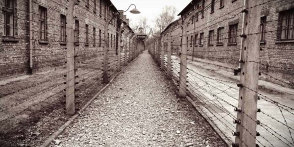Blick in den Spiegel: Internationaler Tag des Gedenkens an die Opfer des Holocaust