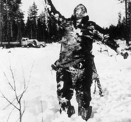 Taktiken der psychologischen Kriegsfuhrung im Winterkrieg 1939: Dokumentierte Fälle und historische Einordnung