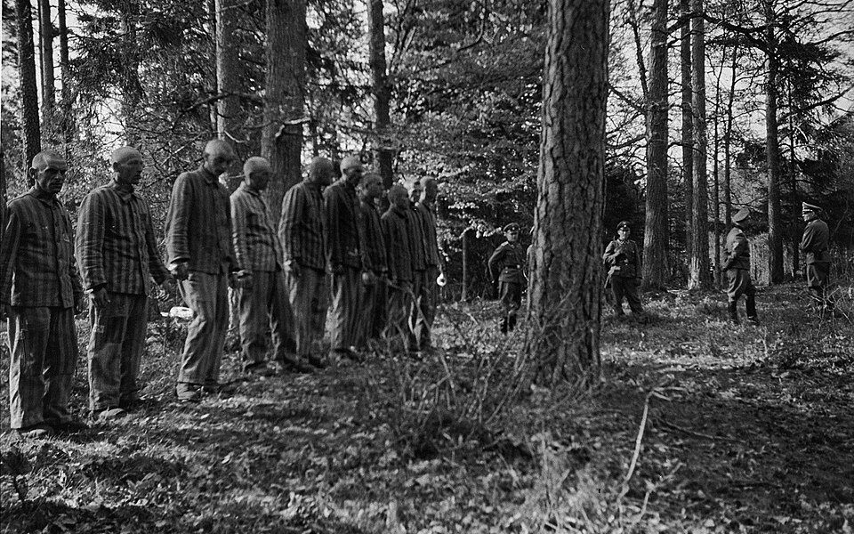 Ein dunkles Kapitel: Häftlinge aus Buchenwald und die Ereignisse im Wald bei Poppenhausen