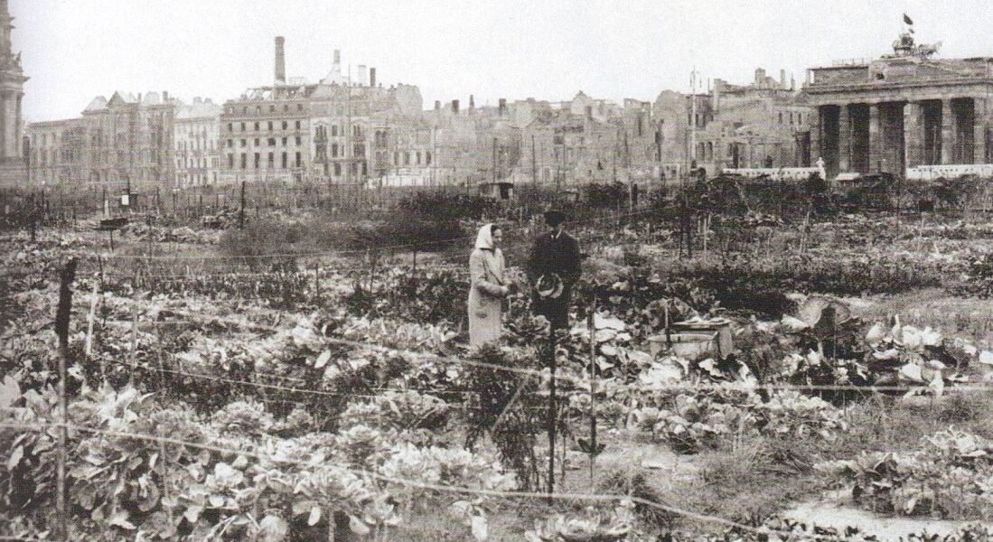 Überleben zwischen Ruinen: Berlinerinnen bestellen ein Feld vor dem Reichstag, 1946