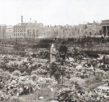 Überleben zwischen Ruinen: Berlinerinnen bestellen ein Feld vor dem Reichstag, 1946