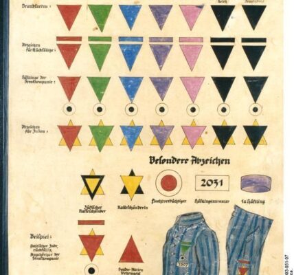Abbildung des deutschen Identifikationssystems fur Konzentrationslagerhäftlinge, 1936
