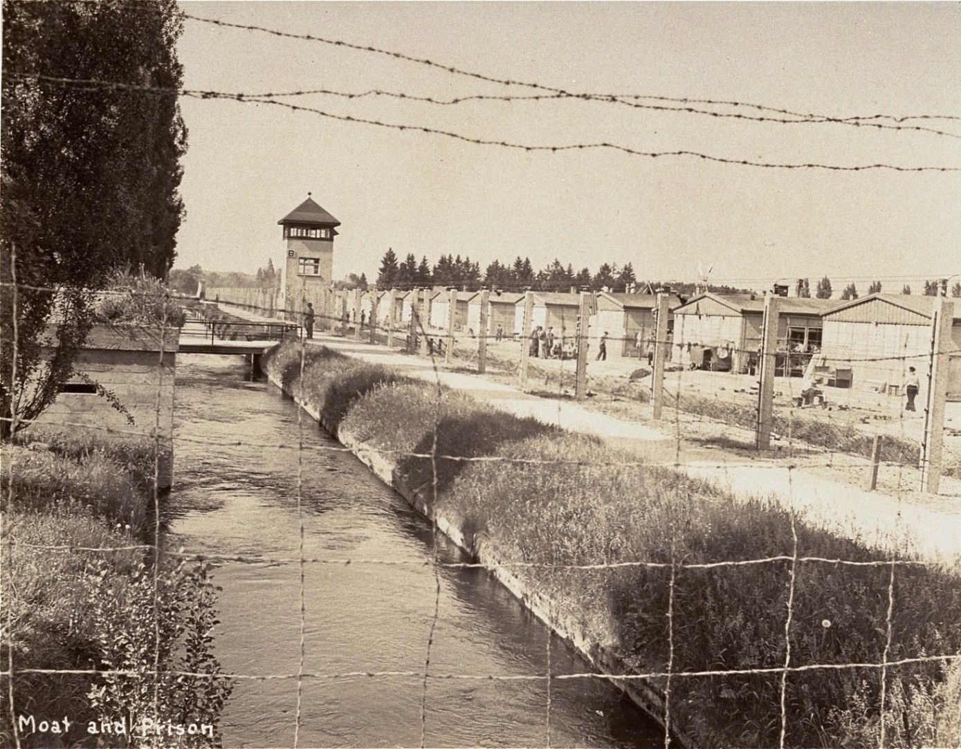 Dachau 1933–1945: Vom ersten Häftling bis zur Befreiung – ein dunkles Kapitel der deutschen Geschichte.