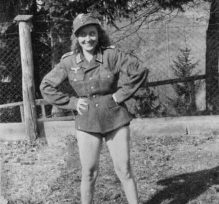 Im Bett des Feindes: Kollaborateurinnen im deutsch besetzten Europa, 1940–1944