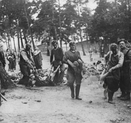 Bergen-Belsen 1945: Die Befreiung und die humanitären Folgen eines Konzentrationslagers
