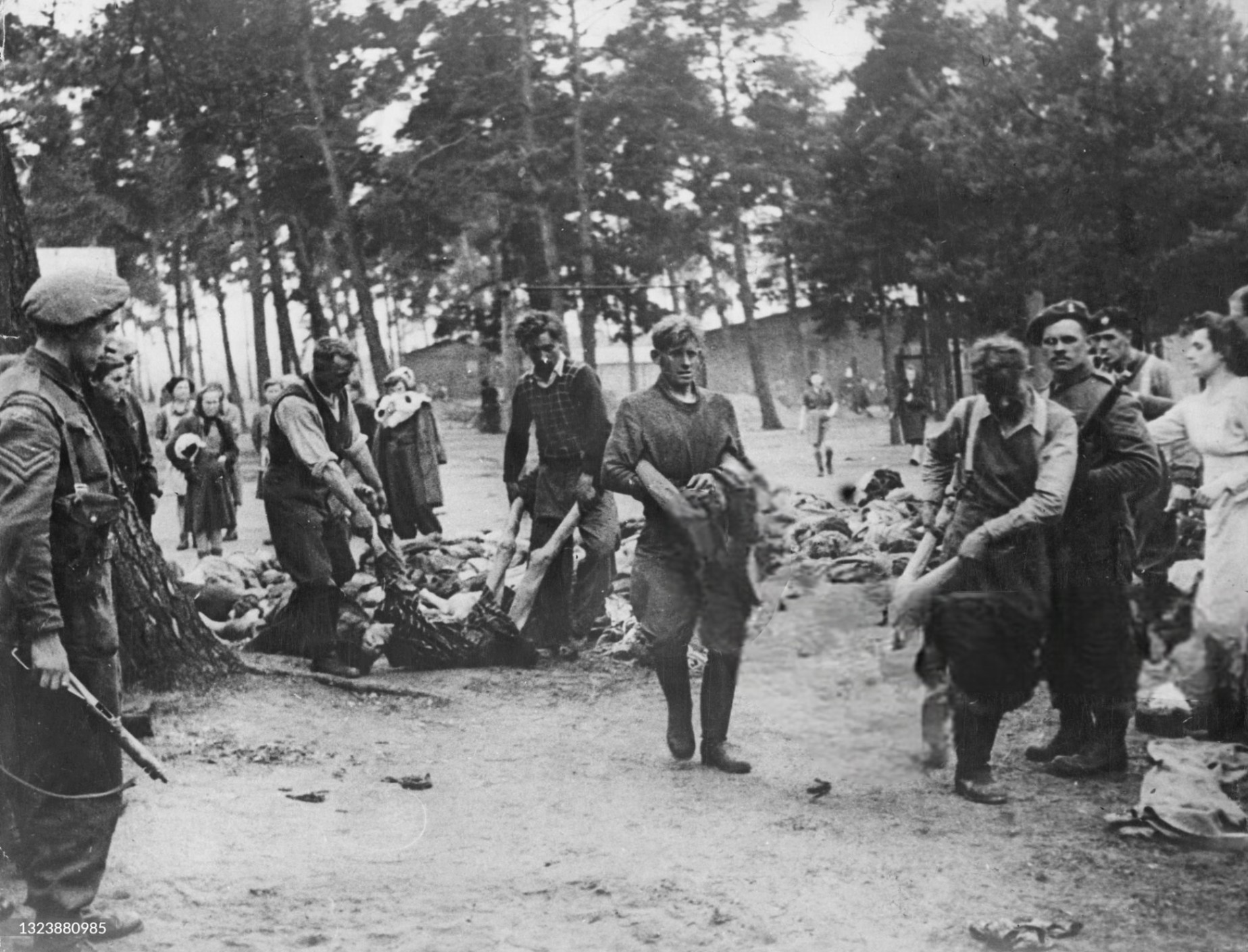 Bergen-Belsen 1945: Die Befreiung und die humanitären Folgen eines Konzentrationslagers