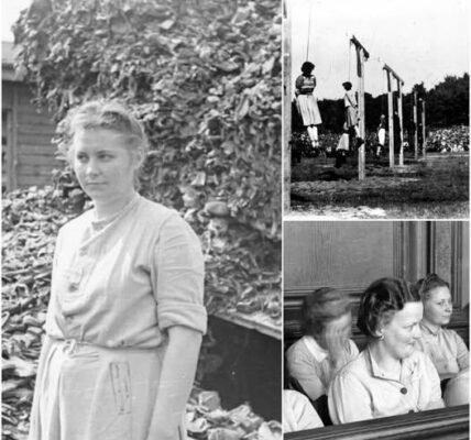 Das „schöne Gespenst“: Die Geschichte der Nazi-Konzentrationslagerwärterin Jenny-Wanda Barkmann