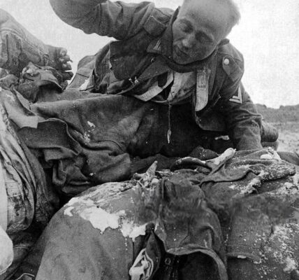Die blutigen Schlachten an der Ostfront in Fotografien, 1942-1943