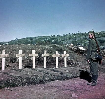 Eismeerfront 1941 – Der stille Blick auf den Tod im hohen Norden