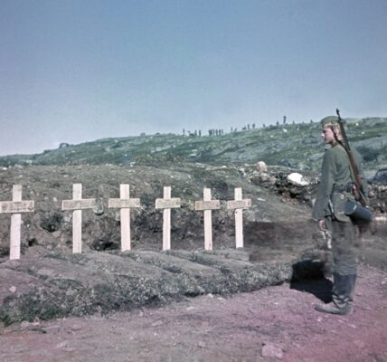 Eismeerfront 1941 – Der stille Blick auf den Tod im hohen Norden