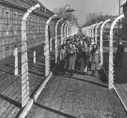 Die Befreiung von Auschwitz und das Zeugnis der Überlebenden