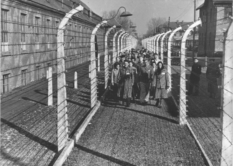 Die Befreiung von Auschwitz und das Zeugnis der Überlebenden