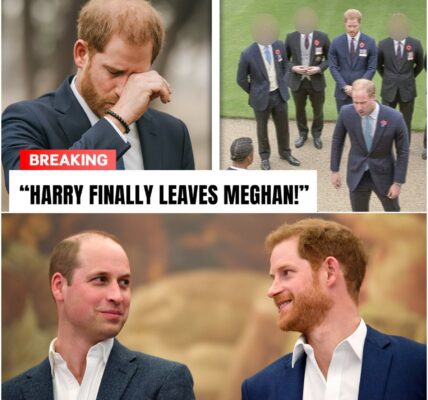 Prince William Refuses to Speak with Prince Harry Amid Public Pressure for Reconciliation